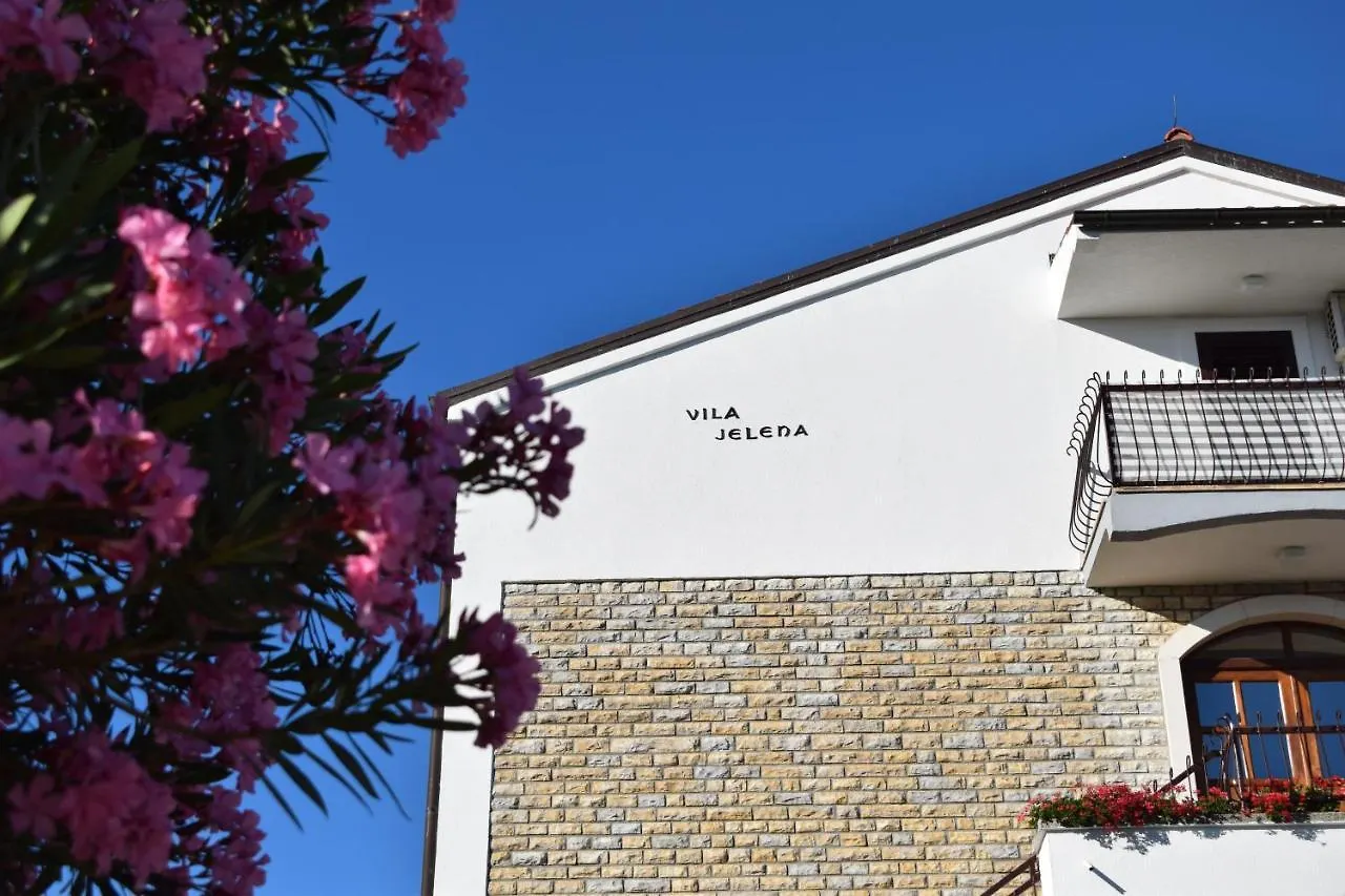 Vila Jelena - Studio Apartments For 2 To 3 Persons In Sv Filip I Jakov Sveti Filip i Jakov Guest house