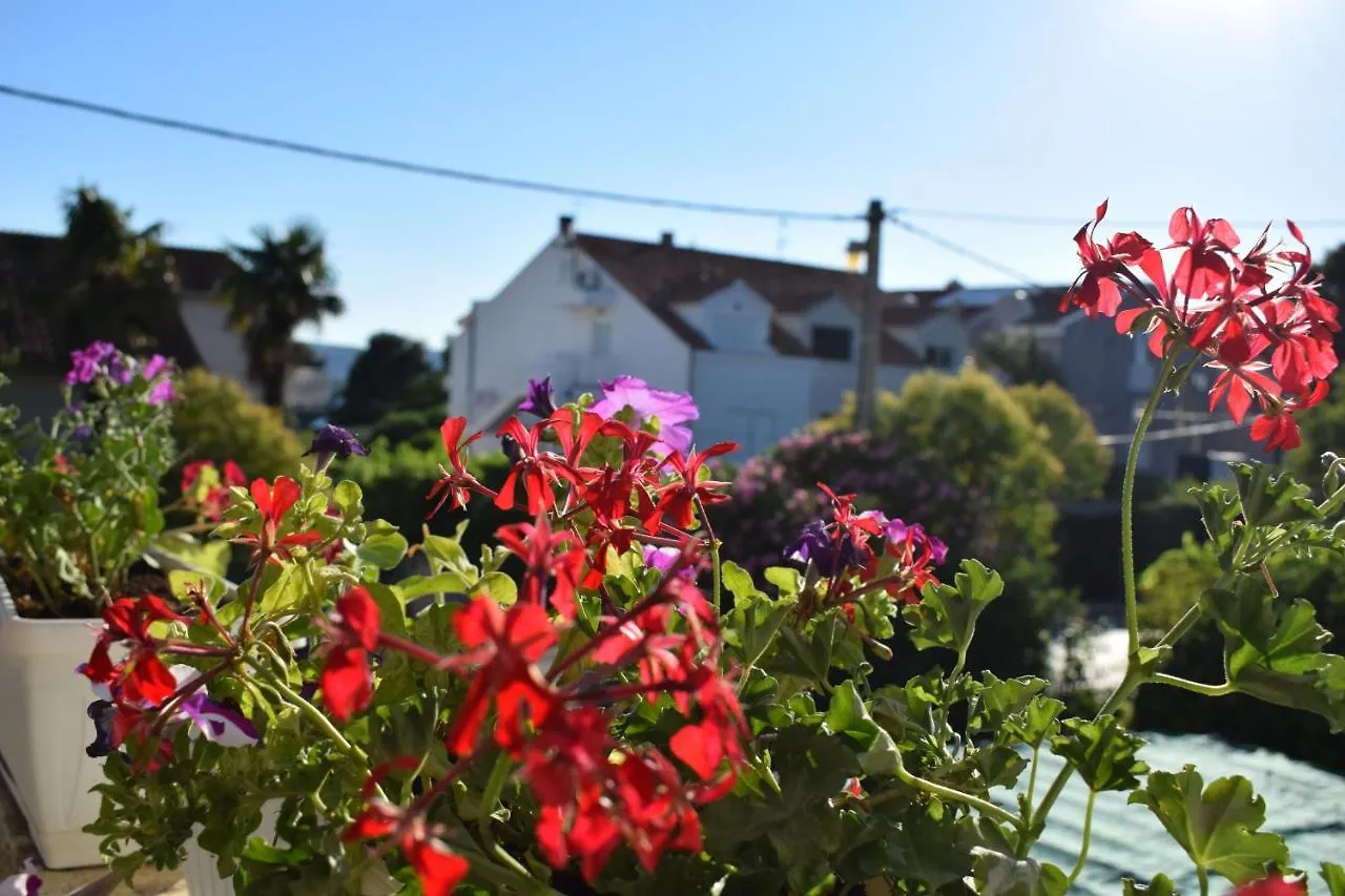 Vila Jelena - Studio Apartments For 2 To 3 Persons In Sv Filip I Jakov Sveti Filip i Jakov Guest house