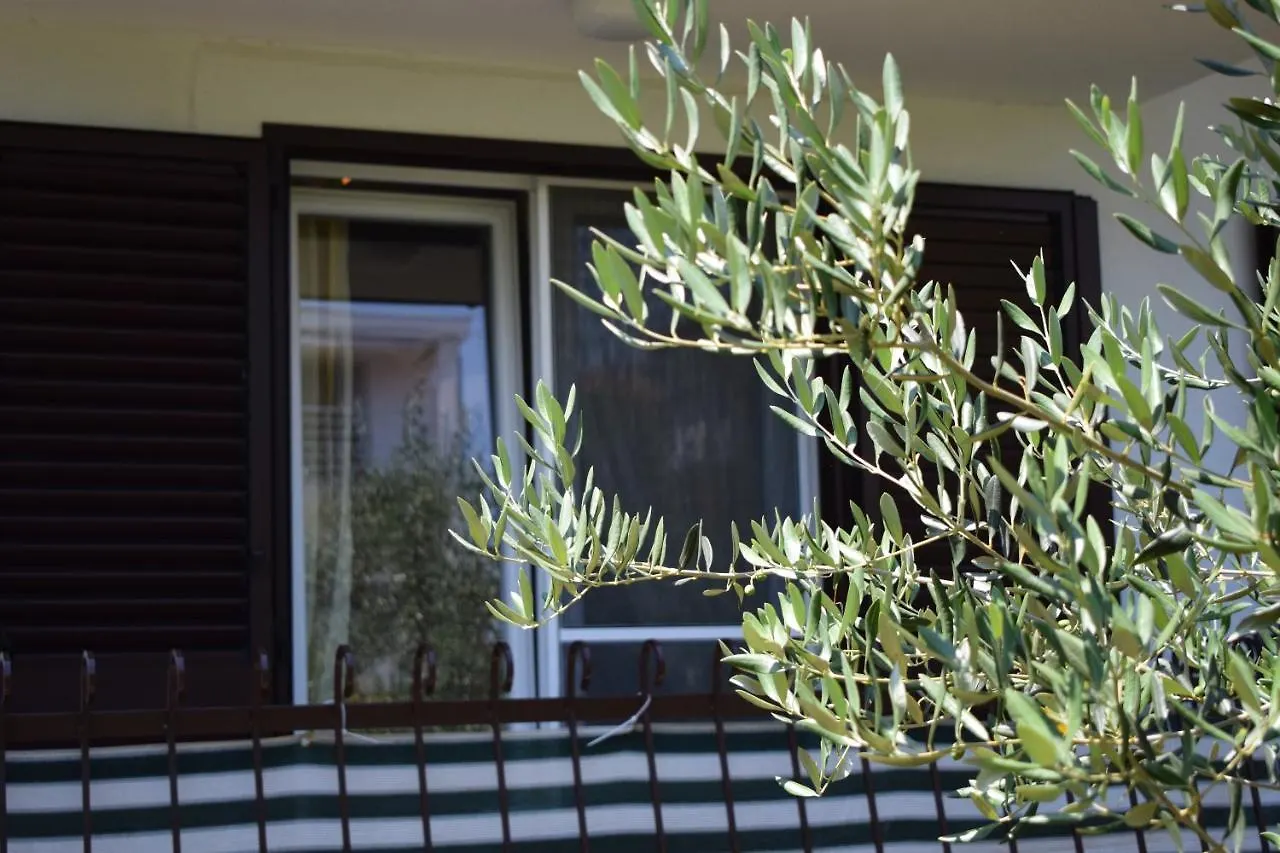 Guest house Vila Jelena - Studio Apartments For 2 To 3 Persons In Sv Filip I Jakov Sveti Filip i Jakov Croatia